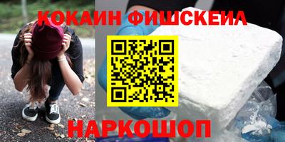 крисы Бийск