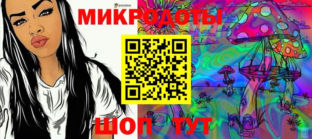 Псилоцибиновые грибы Psilocybe Зеленокумск